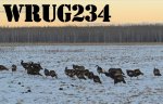 WRUG234 QSL Front.jpg