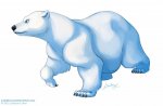 Polar Bear  2.jpg