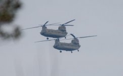 01042024 Chinooks.jpg