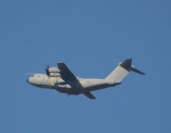 ZM403.jpg