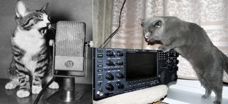 KITI Radio.png