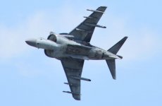 harrier5.JPG