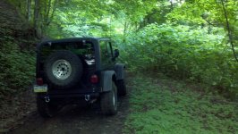 jeep woods web (1).jpg