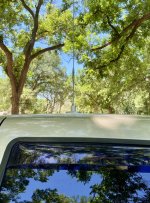 IMG_7984.jpeg