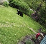 IMG_9857.jpeg