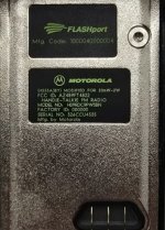 IMG_8428.jpeg