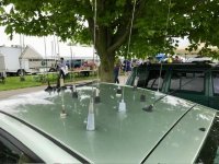 IMG_8656.jpeg