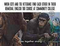 IMG_8643.jpeg IMG_8643.jpeg