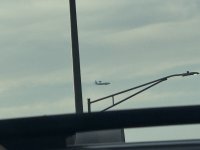 IMG_8259.jpeg IMG_8259.jpeg