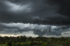 IMG_1633.jpeg IMG_1633.jpeg