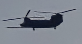 1763827305067.png 1763827305067.png