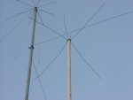 antennas 3.jpg