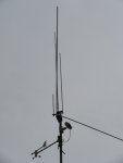 Antenna 003.JPG