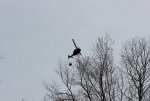 IMG_6516 (Custom).JPG