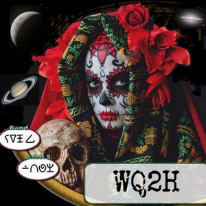 WQ2H Weird QSL !