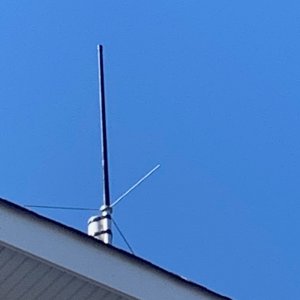 hamantenna.jpg