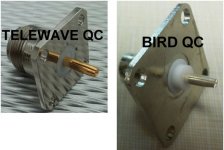 TLW-BIRD-QC.jpg