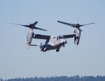 Osprey Go Up.jpg