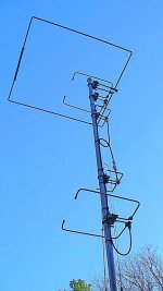 IMG_3579.jpeg