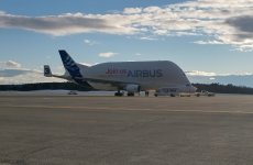 Beluga on Ramp at BGR_small.jpg