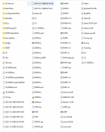 dsd folder contents.png