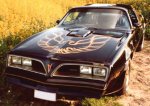 pontiac-firebird%20(1).jpg