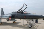 USAF T-38 Talon Trainer   Vance AFB.jpg