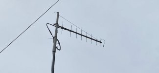 IMG_7137.jpeg