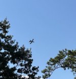 IMG_5308.jpeg