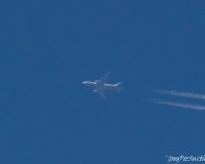 20250926-DSC_7811.jpg