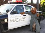 Det. Cujo Mcgruff (Cat Burgler Squad).jpg