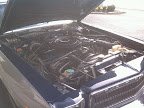 IMG_20121215_132954.jpg