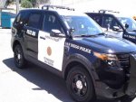 New SDPD K9 small.jpg