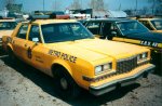 1986_Plymouth_Toronto.jpg