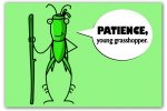 519191793-patience-young-grasshopper.jpg