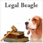 legal beagle.JPG