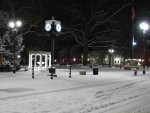 Snow 3.jpg