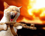 AK kitty.gif