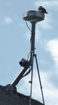 Antenna_08.JPG