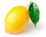 Lemon.JPG