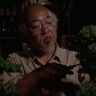 MrMiyagi