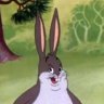 Big-Chungus
