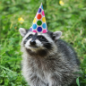 linuxdave