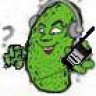 brian13pickle