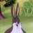 Big-Chungus