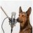 LowBandRadioDog